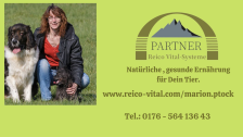 Logo Hundepension Ptock